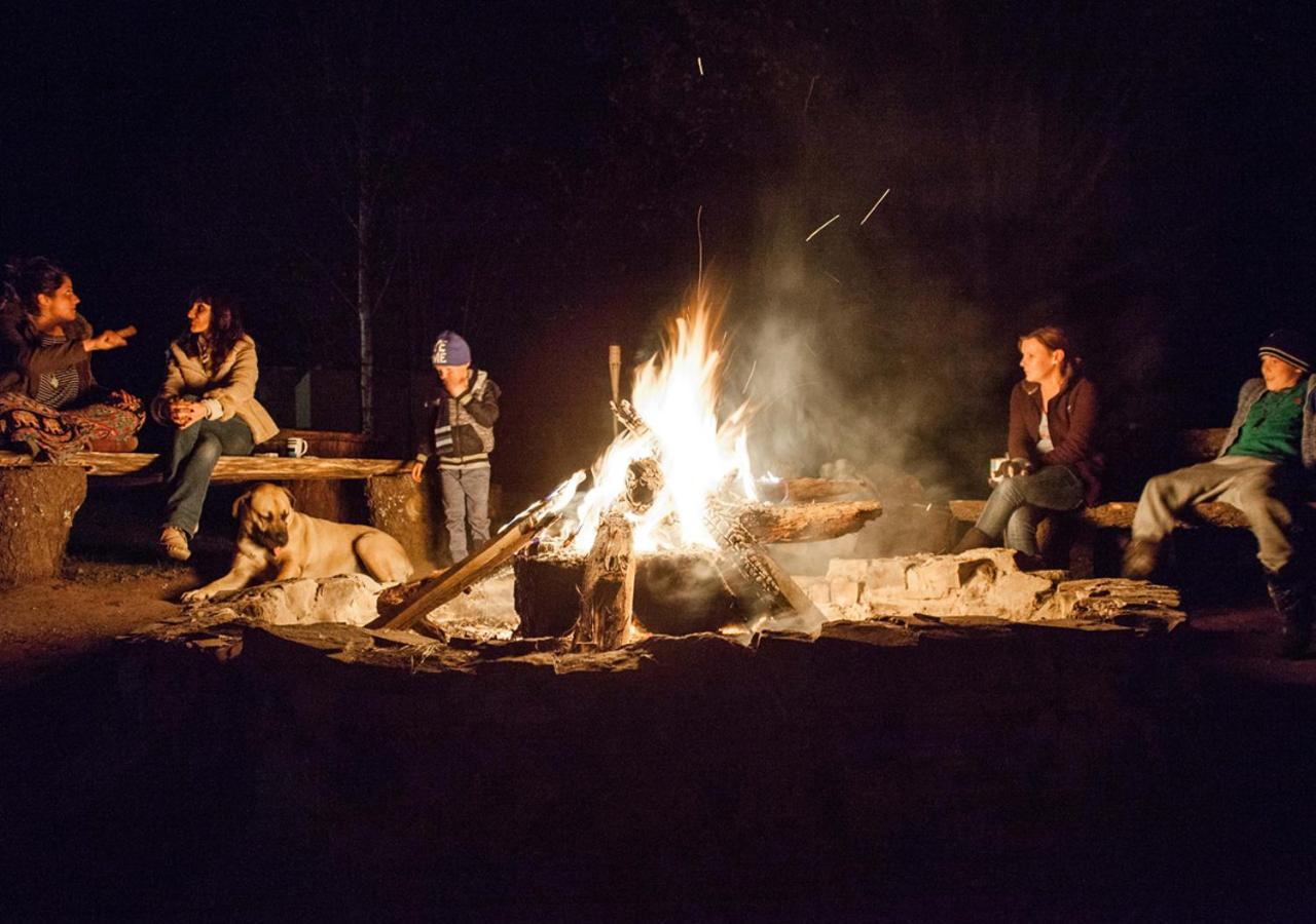 Away With The Fairies Nature Lodge And Backpackers Hogsback Buitenkant foto