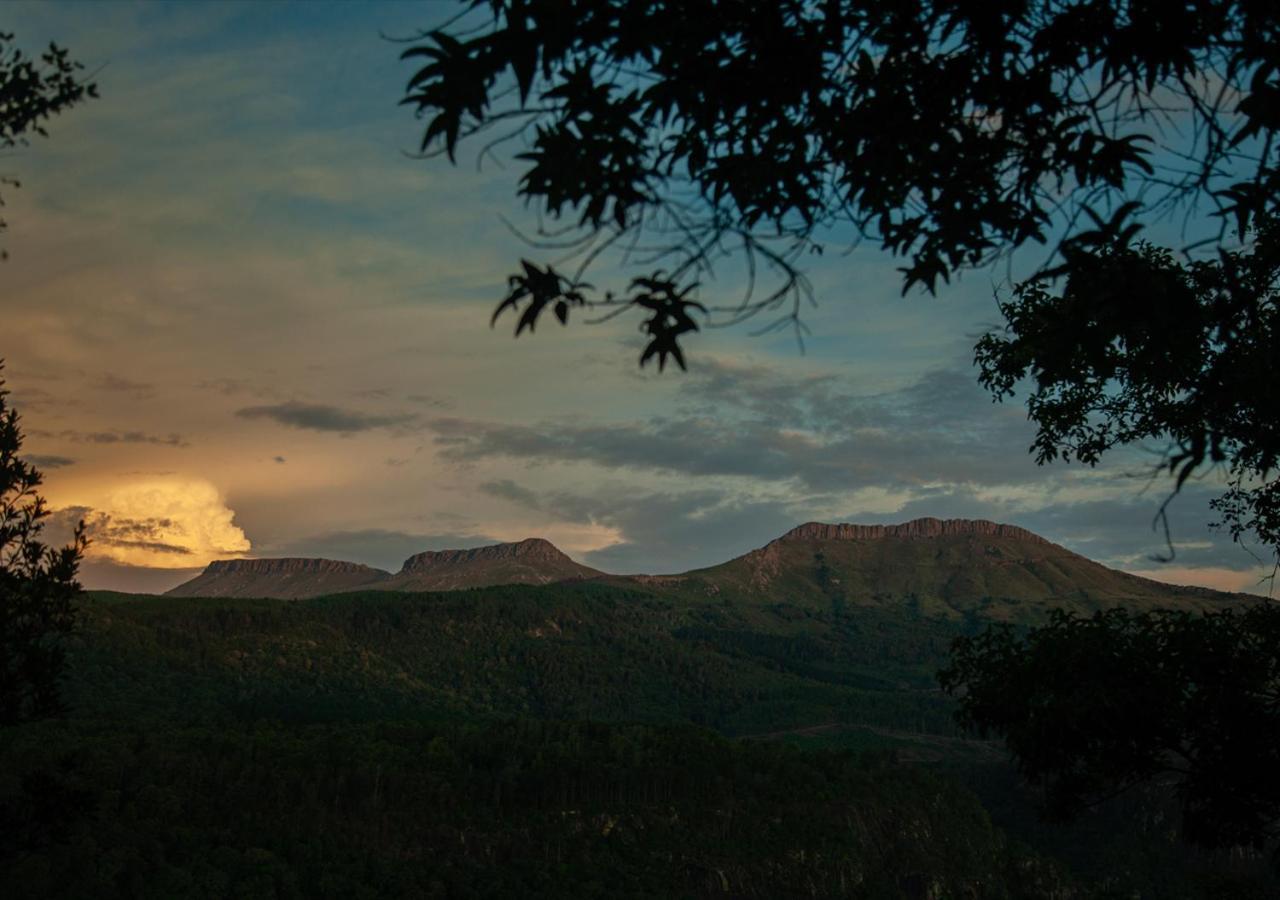 Away With The Fairies Nature Lodge And Backpackers Hogsback Buitenkant foto